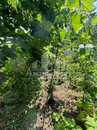 
  Продается 1-комн. квартира 25 м². Фото 13.