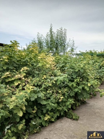 
  Продается дом, 130 м², Ессентуки
. Фото 18.