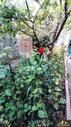 
  Продается дом 132 м². Фото 7.