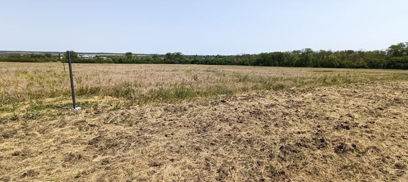 
  Продается земельный участок 6 соток. Фото 6.