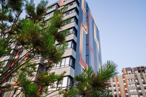 
  Продается студия 23.55 м². Фото 56.