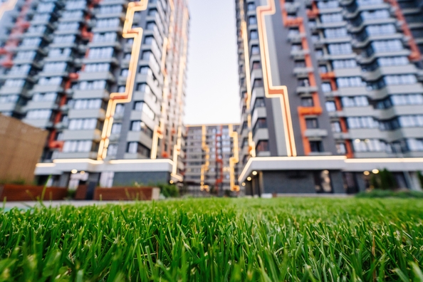 
  Продается студия 27.65 м², в ЖК Западные Аллеи, литера 6.3. Фото 40.