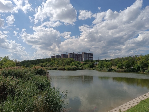 
  Продается земельный участок 9 соток. Фото 19.