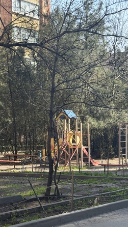 
  Продается студия 18 м². Фото 12.