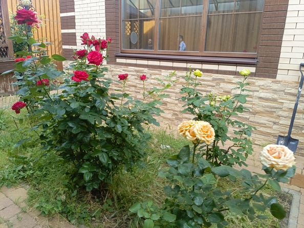 
  Продается дом 365 м². Фото 4.