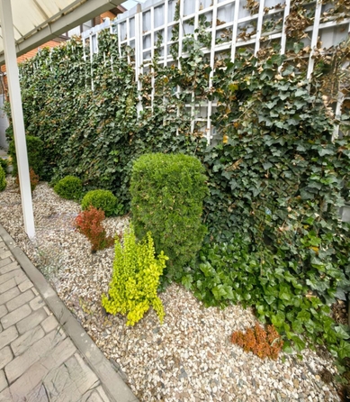 
  Продается дом 100 м². Фото 23.