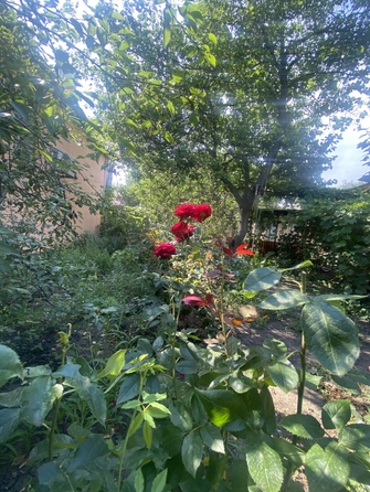 
  Продается дом 53.3 м². Фото 5.
