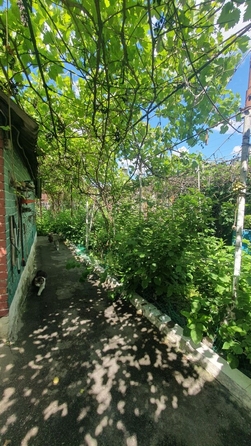 
  Продается дом 48 м². Фото 3.