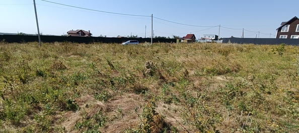 
  Продается земельный участок 5 соток. Фото 5.