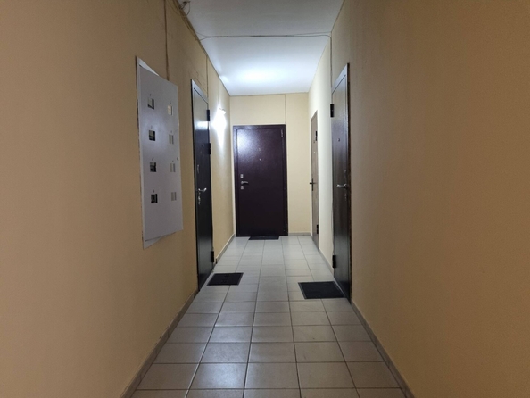 
  Продается студия 25.8 м². Фото 13.