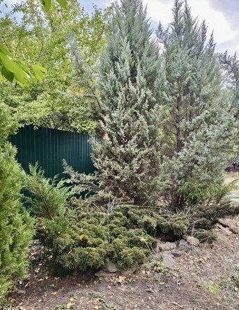 
  Продается земельный участок 6 соток. Фото 1.