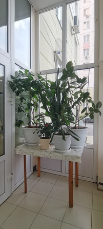 
  Продается студия 27 м². Фото 11.