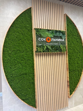 
  Продается студия 23.52 м². Фото 2.