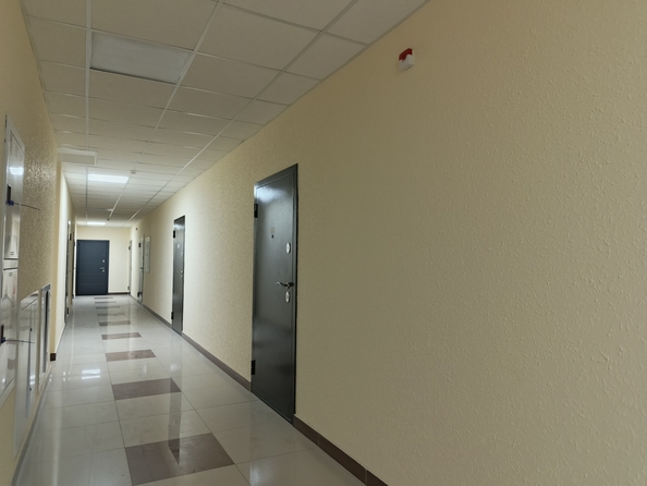 
  Продается студия 22 м². Фото 12.