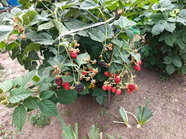 
  Продается коттедж 122 м². Фото 15.