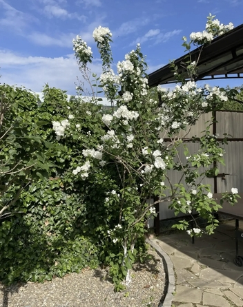 
  Продается коттедж 86.5 м². Фото 34.