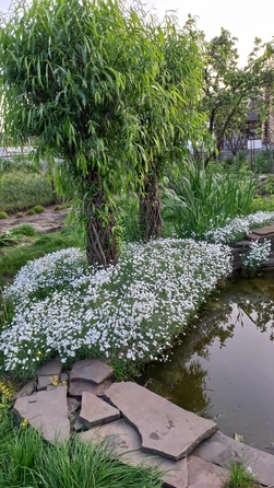 
  Продается дом 85 м². Фото 20.