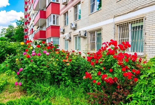 
  Продается 1-комн. квартира 35.6 м². Фото 3.