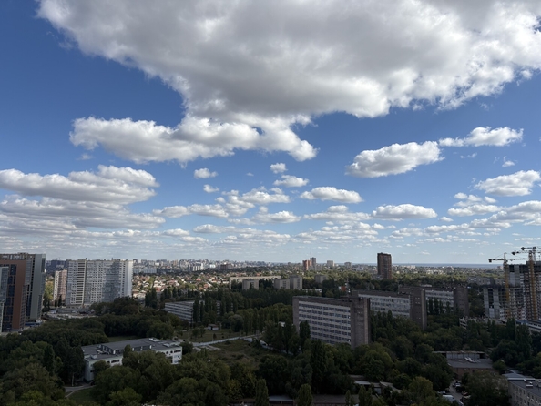 
  Продается студия 25.2 м². Фото 18.