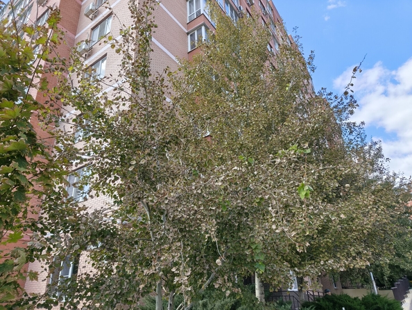 
  Продается 1-комн. квартира 40.1 м². Фото 25.