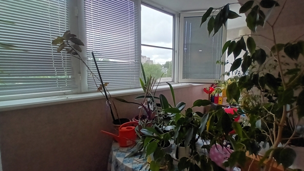 
  Продается 2-комн. квартира 46.8 м². Фото 13.