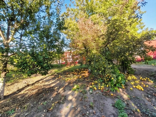 
  Продается дом 67.4 м². Фото 14.