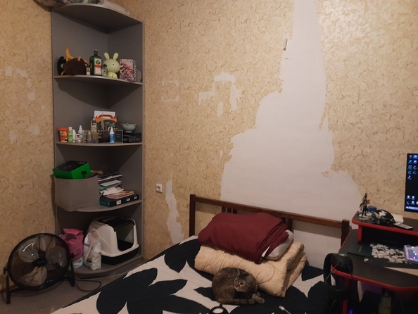 
  Продается 3-комн. квартира 75 м². Фото 13.