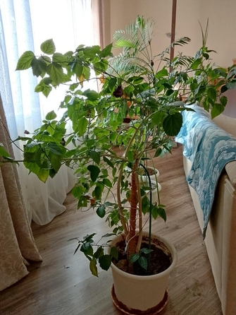 
  Продается дом 180 м². Фото 6.