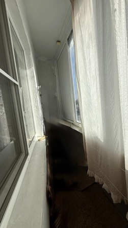 
  Продается 1-комн. квартира 37 м². Фото 13.