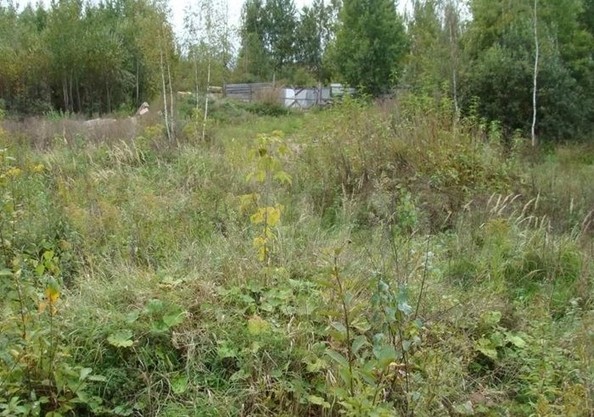 
  Продам  участок ИЖС, 6 соток, Батайск

. Фото 1.