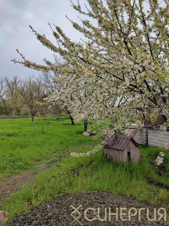 
   Продам дом, 230 м², Городище

. Фото 4.