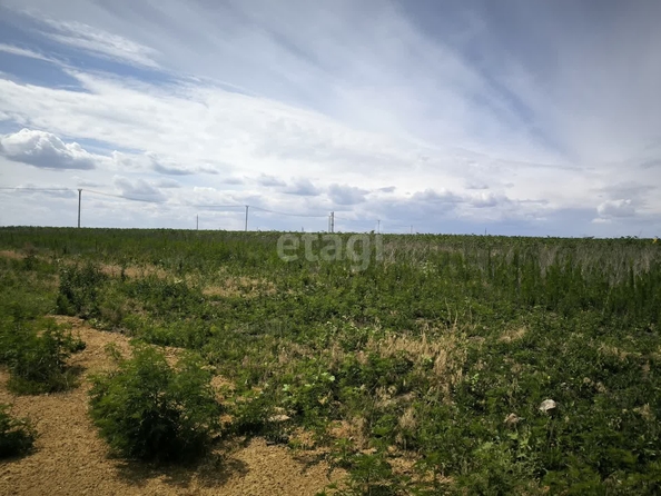 
  Продам  участок ИЖС, 4 соток, Большие Салы

. Фото 5.