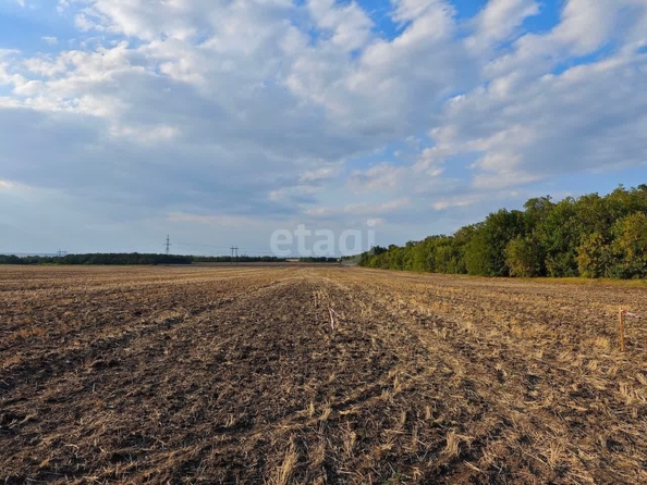 
  Продам  участок ИЖС, 4 соток, Красный

. Фото 8.