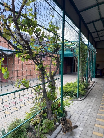 
  Продается дом, 144 м², станица Егорлыкская
. Фото 4.