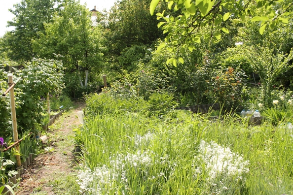 
  Продам  дачный участок, 15 соток, Ростов-на-Дону

. Фото 12.