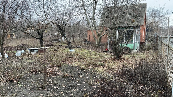 
  Продам  дачный участок, 6 соток, Ковалевка

. Фото 4.