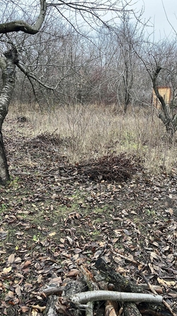 
  Продам  дачный участок, 6 соток, Ковалевка

. Фото 7.