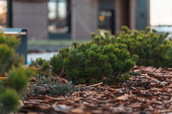 
  Продается 2-комн. квартира 52.95 м², в ЖК Флора, литера 1.2. Фото 29.