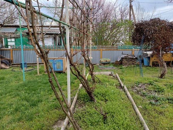 
   Продам дом, 62 м², Старочеркасская

. Фото 23.