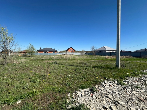 
  Продам  дачный участок, 8 соток, Кулешовка

. Фото 2.