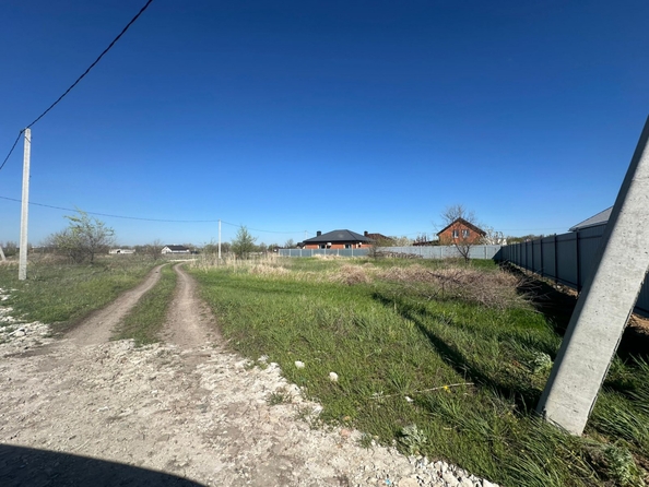 
  Продам  дачный участок, 8 соток, Кулешовка

. Фото 7.