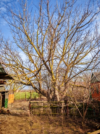 
  Продается коттедж, 64 м², хутор Свобода
. Фото 17.