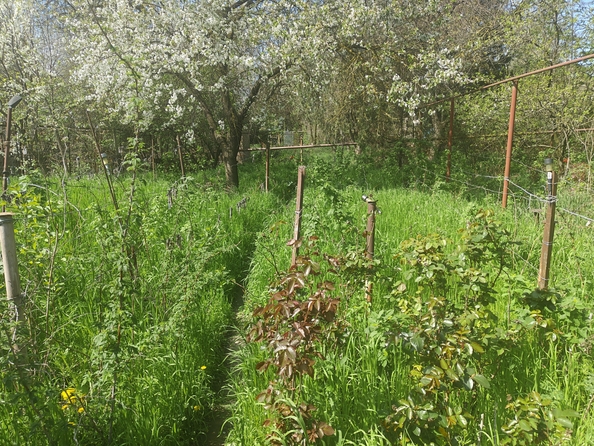 
  Продается коттедж, 30 м², Ростов-на-Дону
. Фото 16.