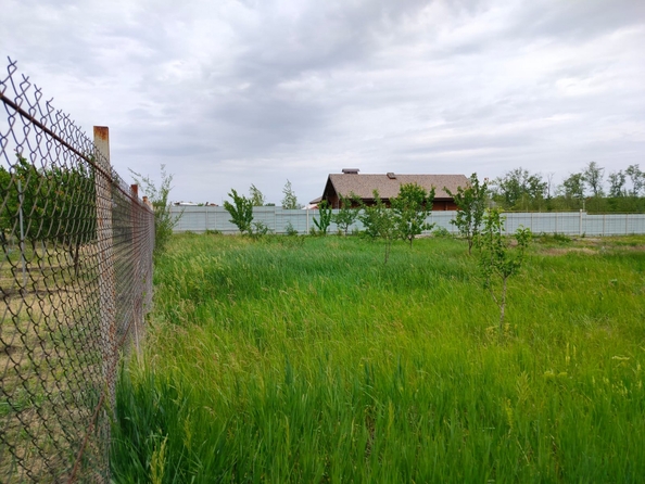 
  Продается земельный участок, 25 соток, поселок Щепкин
. Фото 2.