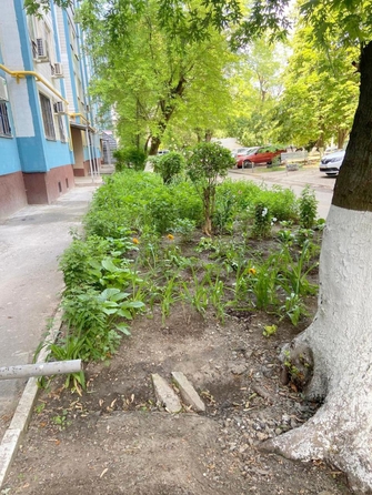 
  Продается 2-комн. квартира, 52 м², Космонавтов пр-кт, д. 17/1
. Фото 3.