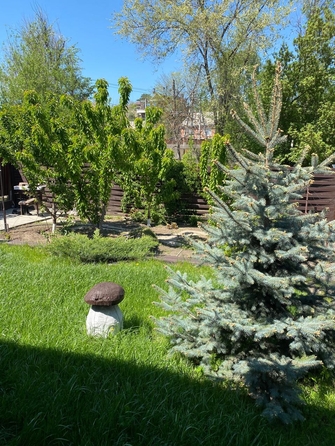
  Продается дом, 120.2 м², Ростов-на-Дону
. Фото 45.