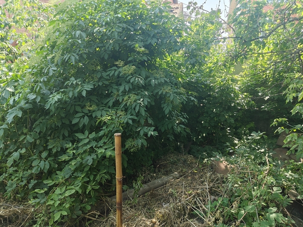 
  Продается дом, 55 м², Ростов-на-Дону
. Фото 21.