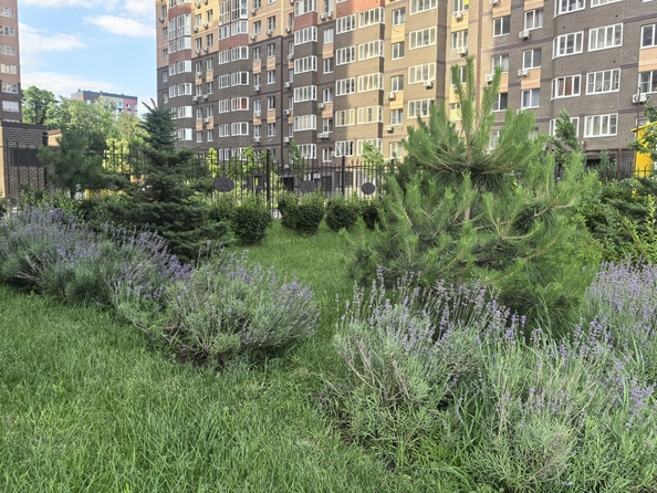 
  Продается 3-комн. квартира, 71.2 м², Берберовская ул, д. 28
. Фото 37.