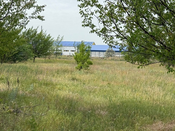 
  Продается земельный участок, 21 сотка, село Пешково
. Фото 2.