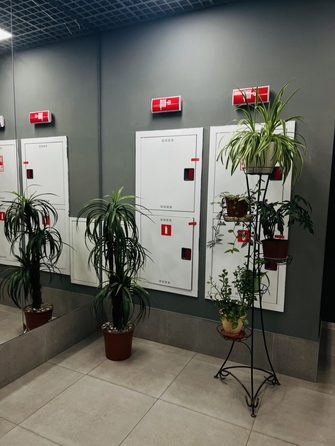 
  Продается 2-комн. квартира, 50 м², Стабильная ул, д. 3
. Фото 18.